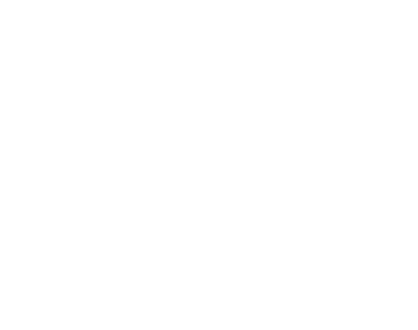 IATA Certified IATA Certified